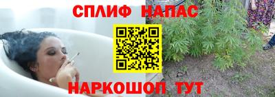 дмт Ипатово