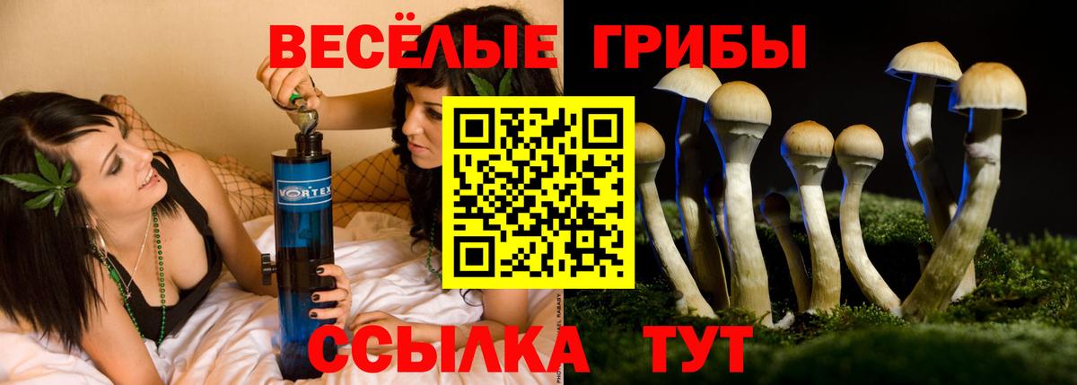 Галлюциногенные грибы GOLDEN TEACHER Лесной